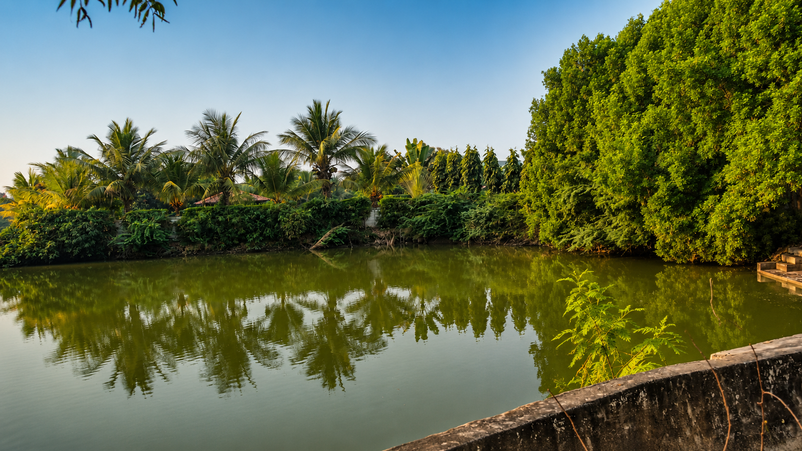 The villages and coast of Mor, Bhagwa and Delasa